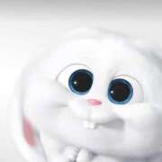 ヒメ日記 2025/10/23 19:27 投稿 逸藤さくら ハプニング痴漢電車or全裸入室