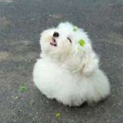 ヒメ日記 2025/10/27 01:07 投稿 逸藤さくら ハプニング痴漢電車or全裸入室