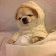 ヒメ日記 2025/11/02 11:57 投稿 逸藤さくら ハプニング痴漢電車or全裸入室