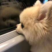 ヒメ日記 2025/11/03 17:57 投稿 逸藤さくら ハプニング痴漢電車or全裸入室