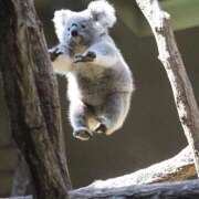 ヒメ日記 2026/01/26 18:17 投稿 逸藤さくら ハプニング痴漢電車or全裸入室