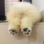 ヒメ日記 2026/01/30 23:07 投稿 逸藤さくら ハプニング痴漢電車or全裸入室