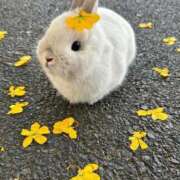 ヒメ日記 2026/01/31 17:37 投稿 逸藤さくら ハプニング痴漢電車or全裸入室