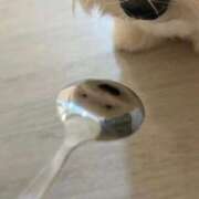 ヒメ日記 2026/03/30 22:27 投稿 逸藤さくら ハプニング痴漢電車or全裸入室