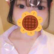 ヒメ日記 2025/09/15 03:30 投稿 せり・SP 西川口ティアラ