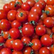 ヒメ日記 2026/01/29 21:39 投稿 せり・SP 西川口ティアラ