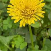 ヒメ日記 2026/04/29 14:01 投稿 せり・SP 西川口ティアラ