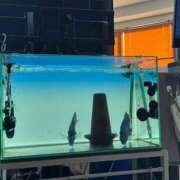 ヒメ日記 2025/09/27 14:45 投稿 ひめか クラスメイト