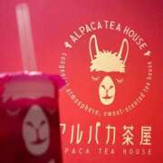 ヒメ日記 2026/02/03 21:09 投稿 大城まい e女商事 池袋店