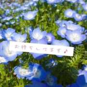 ヒメ日記 2026/05/05 23:16 投稿 大城まい e女商事 池袋店