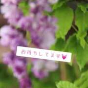 ヒメ日記 2026/05/12 00:16 投稿 大城まい e女商事 池袋店