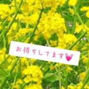 ヒメ日記 2026/05/18 11:06 投稿 大城まい e女商事 池袋店
