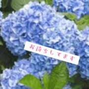 ヒメ日記 2026/06/21 15:36 投稿 大城まい e女商事 池袋店