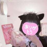 ヒメ日記 2025/09/29 19:32 投稿 みう ラズベリードール