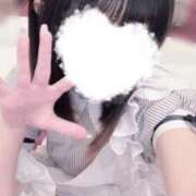 ヒメ日記 2025/11/14 10:28 投稿 みう ラズベリードール