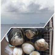 ヒメ日記 2025/10/15 22:26 投稿 辻愛 五十路マダムエクスプレス船橋店(カサブランカグループ)