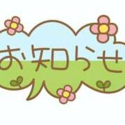 ヒメ日記 2026/02/28 19:02 投稿 辻愛 五十路マダムエクスプレス船橋店(カサブランカグループ)
