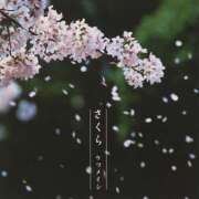 ヒメ日記 2026/04/01 08:10 投稿 辻愛 五十路マダムエクスプレス船橋店(カサブランカグループ)