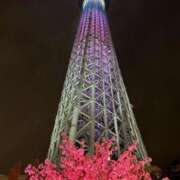 ヒメ日記 2026/04/09 19:18 投稿 辻愛 五十路マダムエクスプレス船橋店(カサブランカグループ)