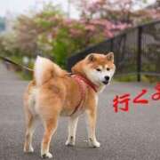ヒメ日記 2026/05/15 09:58 投稿 辻愛 五十路マダムエクスプレス船橋店(カサブランカグループ)
