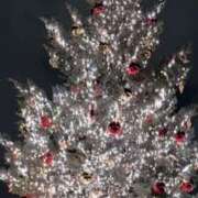 ヒメ日記 2025/11/26 10:21 投稿 みろ スピード梅田店