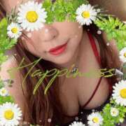 ヒメ日記 2025/10/25 01:15 投稿 みすず 人妻美人館