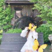 ヒメ日記 2025/09/08 04:51 投稿 愛梨(あいり) グランドオペラ横浜