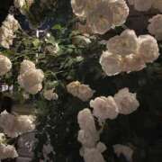 ヒメ日記 2025/10/08 18:35 投稿 愛梨(あいり) グランドオペラ横浜