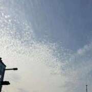 ヒメ日記 2026/01/16 00:47 投稿 せいら いざ候 本館