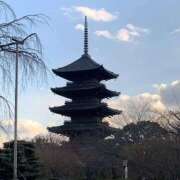 ヒメ日記 2026/01/31 10:37 投稿 せいら いざ候 本館