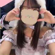 ヒメ日記 2026/02/12 08:27 投稿 せいら いざ候 本館