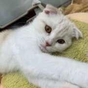 ヒメ日記 2026/03/03 13:47 投稿 せいら いざ候 本館