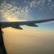 ヒメ日記 2026/03/13 07:17 投稿 せいら いざ候 本館