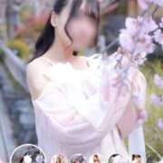 ヒメ日記 2026/03/25 23:07 投稿 せいら いざ候 本館