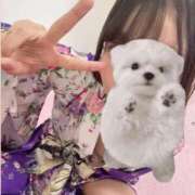 ヒメ日記 2026/03/27 07:27 投稿 せいら いざ候 本館