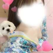 ヒメ日記 2026/06/05 06:17 投稿 せいら いざ候 本館