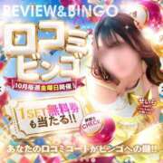 ヒメ日記 2026/10/01 01:27 投稿 せいら Club label