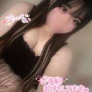 ヒメ日記 2025/10/25 15:36 投稿 ヒナ ちゃんこ本厚木店