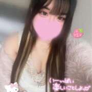 ヒナ ♡出勤♡ ちゃんこ本厚木店