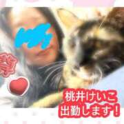 ヒメ日記 2026/04/29 08:14 投稿 桃井けいこ 大阪ぽっちゃり妻 谷九店