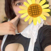 ヒメ日記 2025/09/30 08:30 投稿 みき 素人巨乳ちゃんこ「東千葉店」