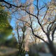 ヒメ日記 2026/04/02 23:49 投稿 さら かりんと池袋