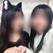 さら 猫になりたい かりんと池袋