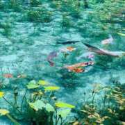 ヒメ日記 2025/09/04 09:00 投稿 ゆずき モアグループ宇都宮人妻花壇