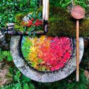 ヒメ日記 2025/10/09 09:00 投稿 ゆずき モアグループ宇都宮人妻花壇