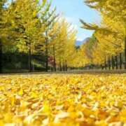 ヒメ日記 2025/10/12 09:00 投稿 ゆずき モアグループ宇都宮人妻花壇