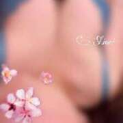 ヒメ日記 2025/09/18 14:29 投稿 しおり 激安ピーチ