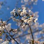 ヒメ日記 2026/04/02 21:19 投稿 しおり 激安ピーチ