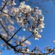 ヒメ日記 2026/04/04 19:49 投稿 しおり 激安ピーチ