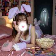 ヒメ日記 2025/11/05 07:39 投稿 るな ウルトラドリーム